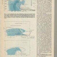 Le courrier du CNRS 31