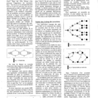 courrier cnrs 80_Page_051.jpg