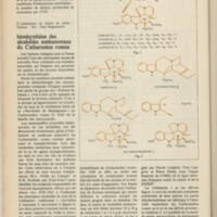 Le courrier du CNRS 33