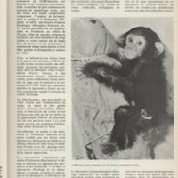 Le courrier du CNRS 8