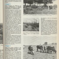 Le courrier du CNRS 13