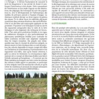 A3Magazine76Plantes_Page_10.jpg
