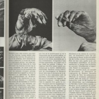 Le courrier du CNRS 28