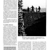 courrier cnrs 75_Page_55.jpg