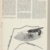 Le courrier du CNRS 8