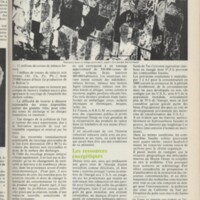 Le courrier du CNRS 10