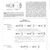 Rapport CNRS 1974-science_052.jpg
