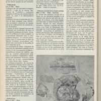 Le courrier du CNRS 19