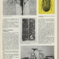 Le courrier du CNRS 12