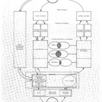 courrier cnrs 45_Page_11.jpg