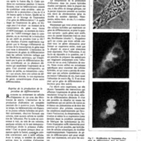 courrier cnrs 41_Page_37.jpg