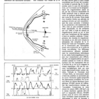 courrier cnrs 42_Page_34.jpg