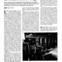 courrier cnrs 71_Page_027.jpg