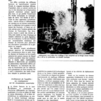 courrier cnrs 44_Page_21.jpg