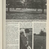 Le courrier du CNRS 31