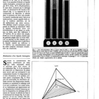 courrier cnrs 48_Page_36.jpg