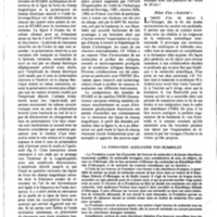 courrier cnrs 42_Page_35.jpg