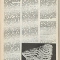 Le courrier du CNRS 21