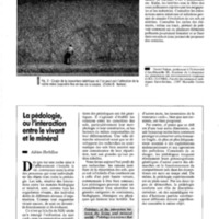 courrier cnrs 76_Page_083.jpg