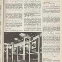 Le courrier du CNRS 17