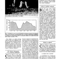 courrier cnrs 50_Page_15.jpg