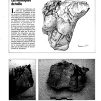 courrier cnrs 73_Page_13.jpg