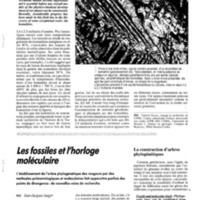 courrier cnrs 76_Page_063.jpg