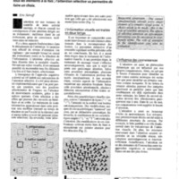 courrier cnrs 79_Page_061.jpg