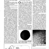 courrier cnrs 46_Page_19.jpg