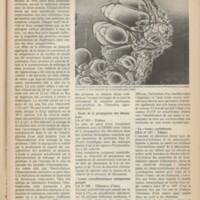 Le courrier du CNRS 21