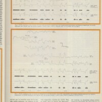 Le courrier du CNRS 17