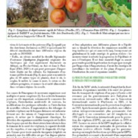 A3Magazine76Plantes_Page_49.jpg