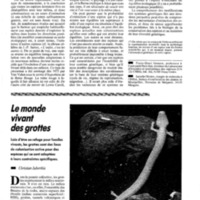 courrier cnrs 72_Page_081.jpg