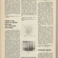Le courrier du CNRS 31