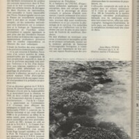 Le courrier du CNRS 5