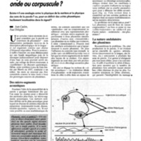 courrier cnrs 77_Page_085.jpg