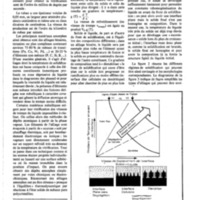 courrier cnrs 52-53_Page_52.jpg