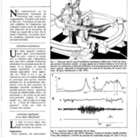 courrier cnrs 55-56_Page_51.jpg