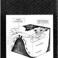 courrier cnrs 57_Page_56.jpg