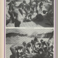 Le courrier du CNRS 11