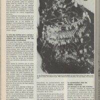 Le courrier du CNRS 30