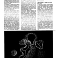 courrier cnrs 66-67-68_Page_069.jpg