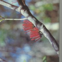 Le courrier du CNRS 28