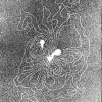 rapport 1970_172.jpg