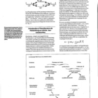 courrier cnrs 64_Page_49.jpg