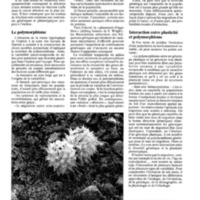 courrier cnrs 72_Page_079.jpg