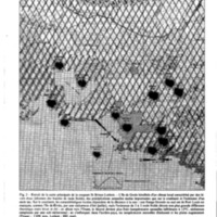 courrier cnrs 42_Page_47.jpg