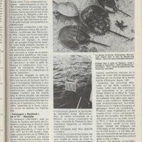 Le courrier du CNRS 27