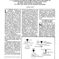courrier cnrs 52-53_Page_51.jpg