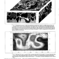 courrier cnrs 76_Page_016.jpg